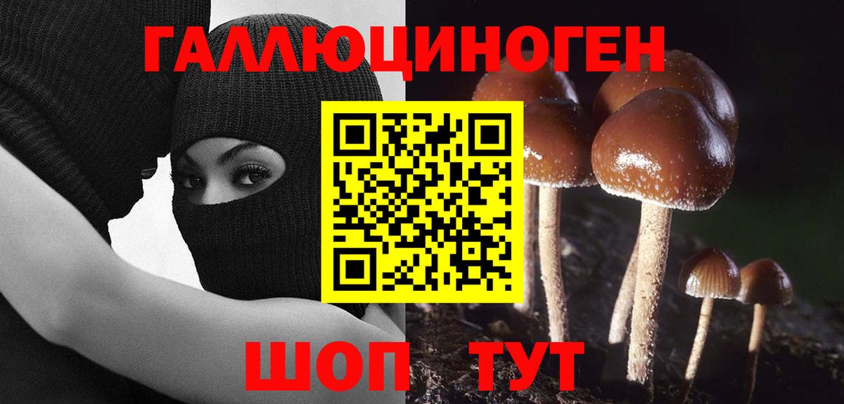 где купить наркотик  Псилоцибиновые грибы Psilocybe  Вход с VPN  Псилоцибиновые грибы ЛСД  Коркино 