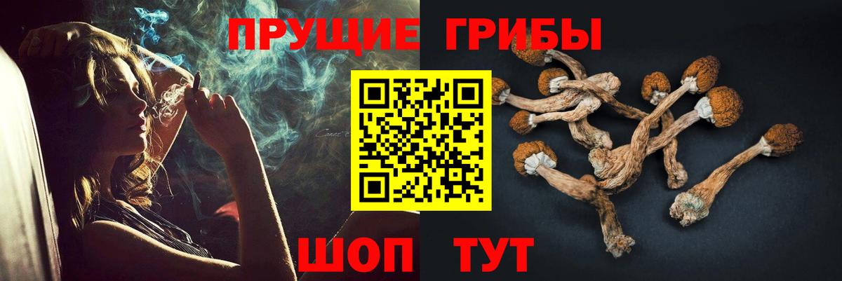Галлюциногенные грибы GOLDEN TEACHER Коркино